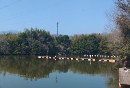 久しぶりの大安トラウトレイク